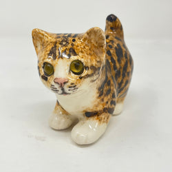 Winstanley Bengal / Tabby Cat - Size 1