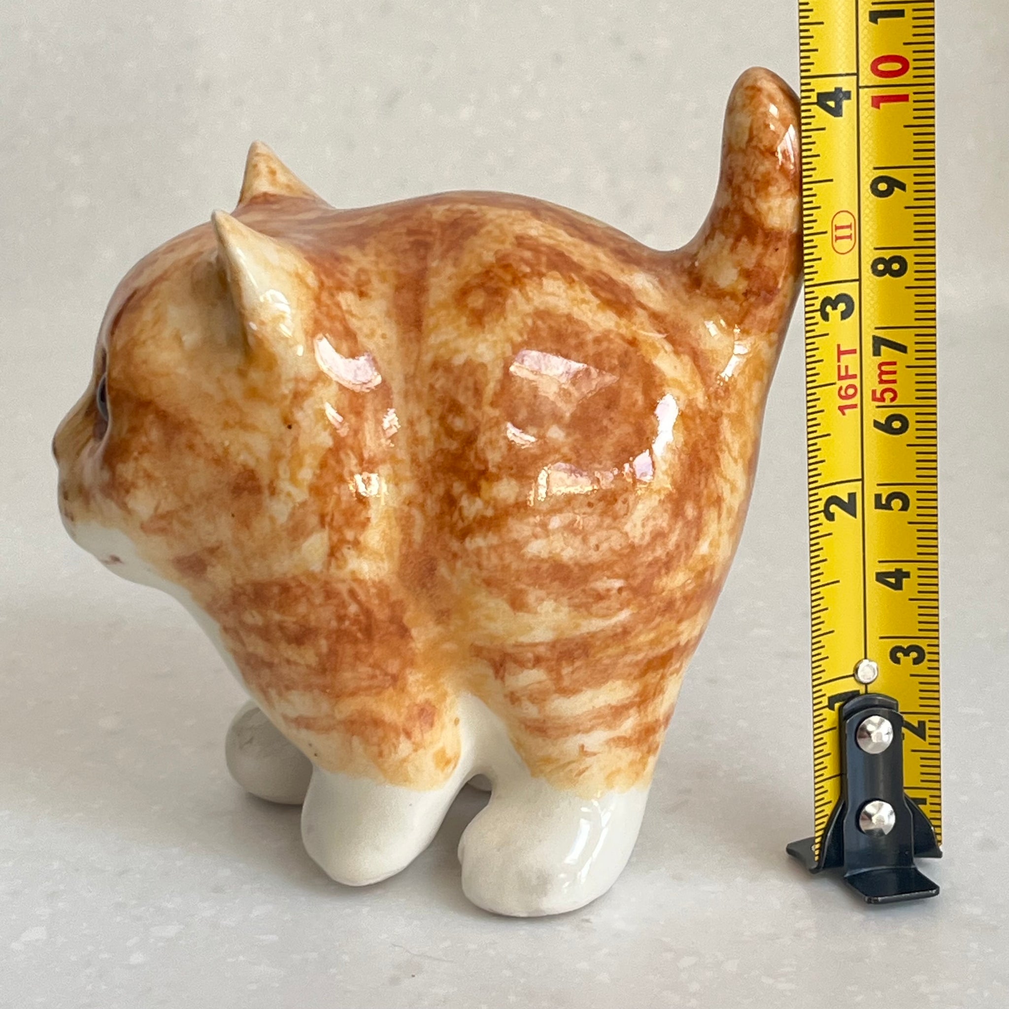 Winstanley Chubby Ginger Kitten - Size 1