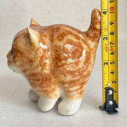 Winstanley Chubby Ginger Kitten - Size 1