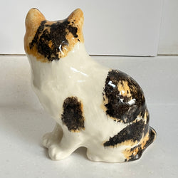 Winstanley Tortoiseshell Cat Sitting Up - Size 4