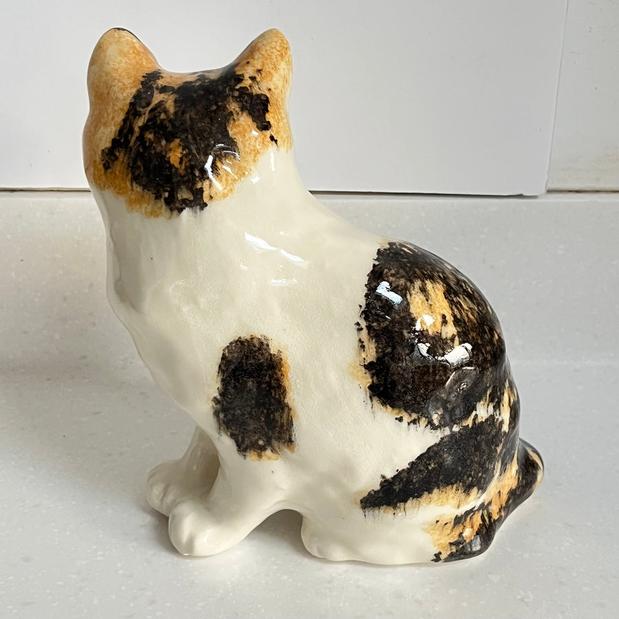 Winstanley Tortoiseshell Cat Sitting Up - Size 4