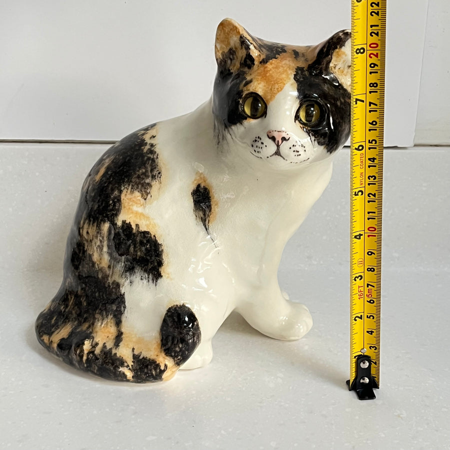 Winstanley Tortoiseshell Cat Sitting Up - Size 4