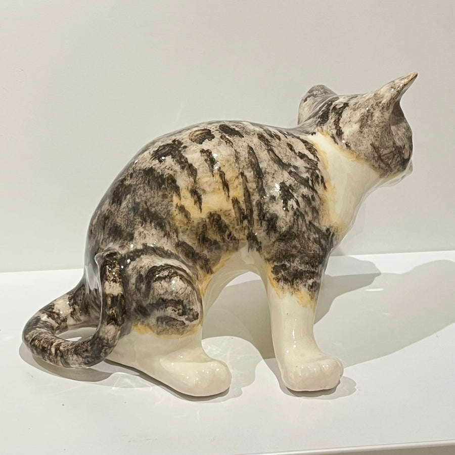 Tabby & White Scratching Winstanley Cat - Size 5