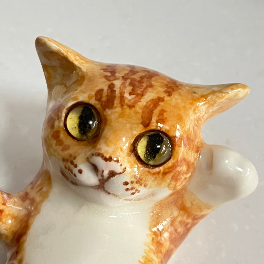 Winstanley Ginger Kitten on Back - Size 1