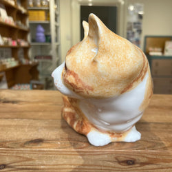 Ginger & White Crouching Winstanley Cat - Size 5