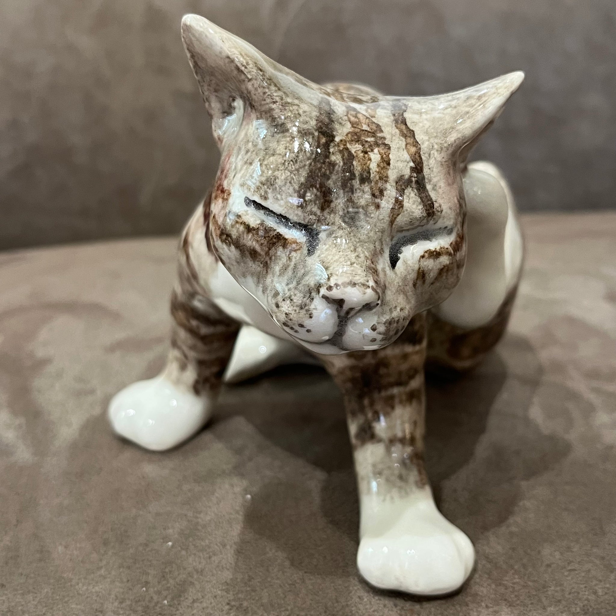 Winstanley Tabby Scratching - Size 3