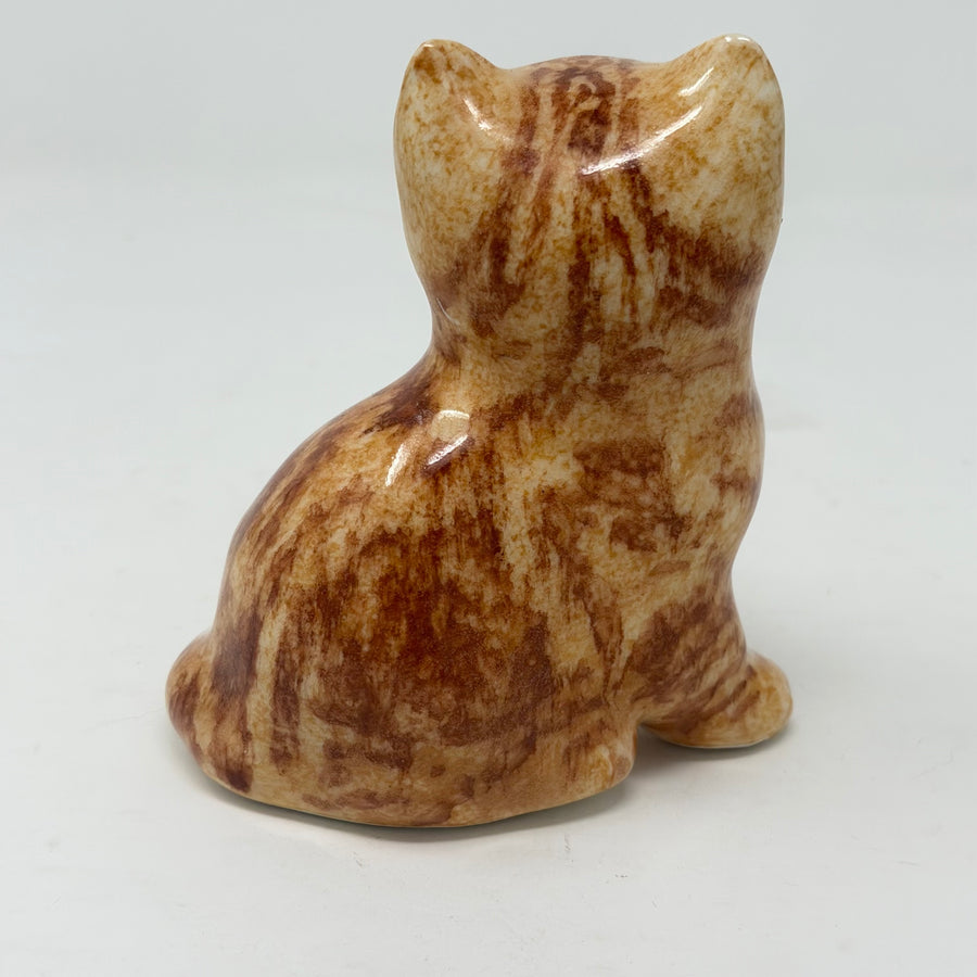 Winstanley Cute Ginger & White Cat - Size 1