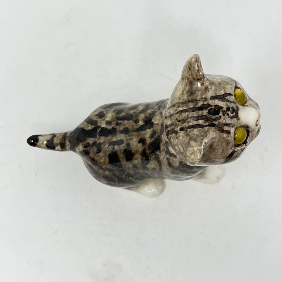 Winstanley Light Grey Tabby Cat Looking Up - Size 2