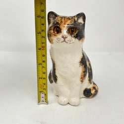 Winstanley Tortie & White - Size 1