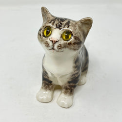 Winstanley Light Grey Tabby Cat Looking Up - Size 2
