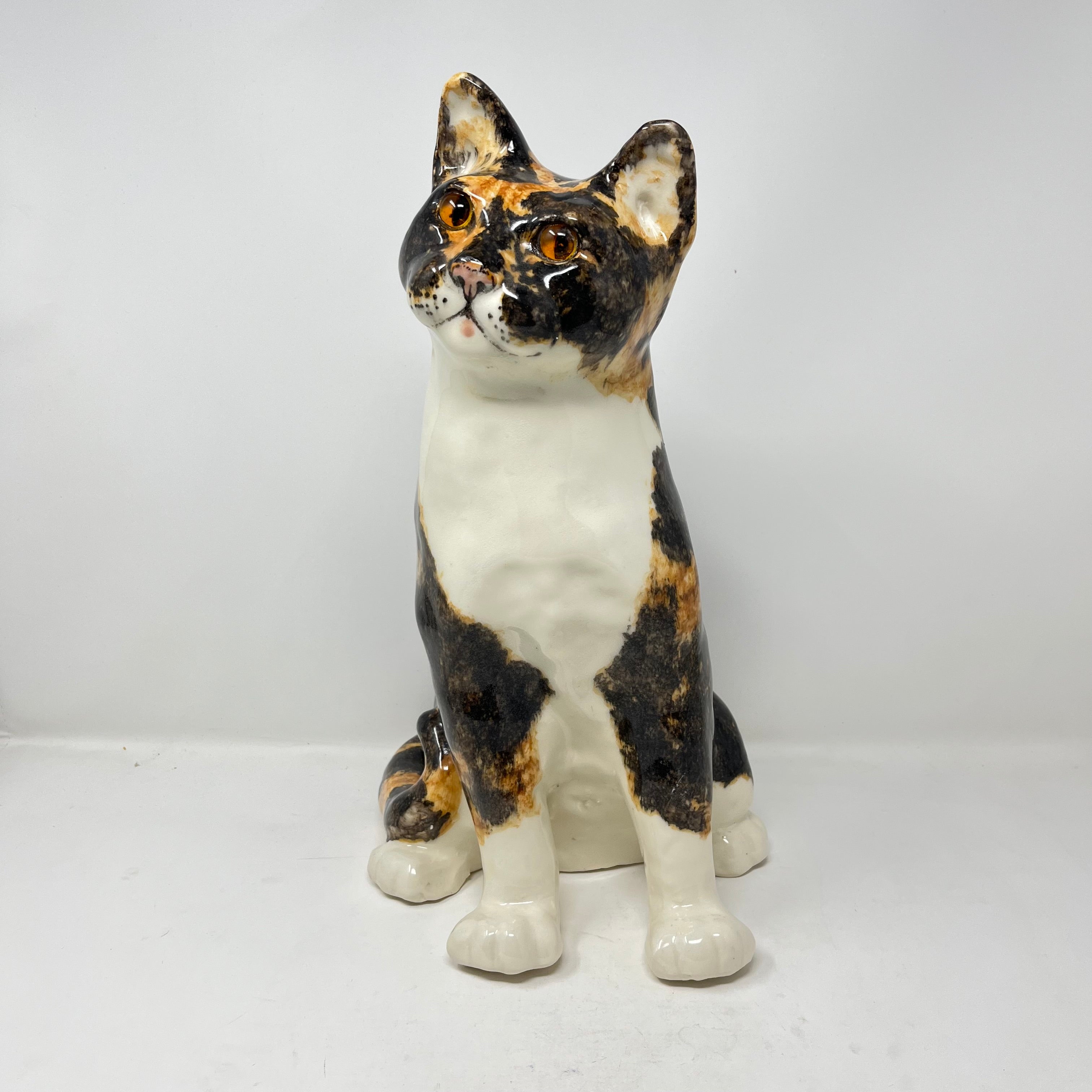 Winstanley Cat Tortoiseshell Size 8