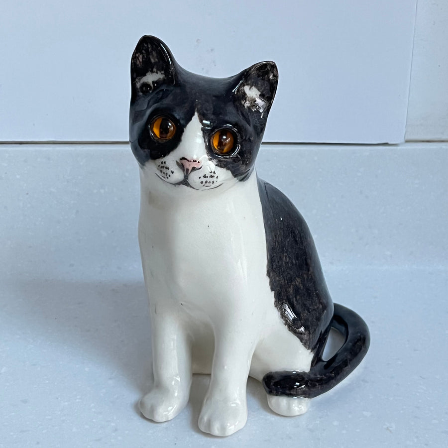 Winstanley Black & White Cat  - Size 3