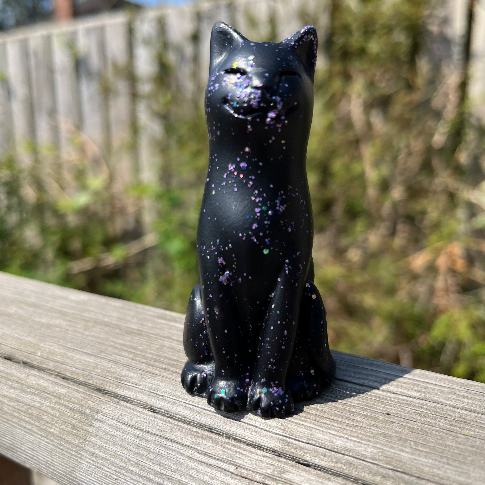 Holographic Black Cat