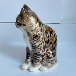 Winstanley Tabby Cat  - Size 3