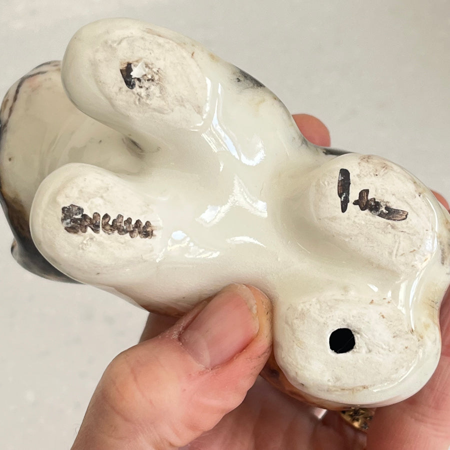 Winstanley Tortie and White Kitten - Size 1