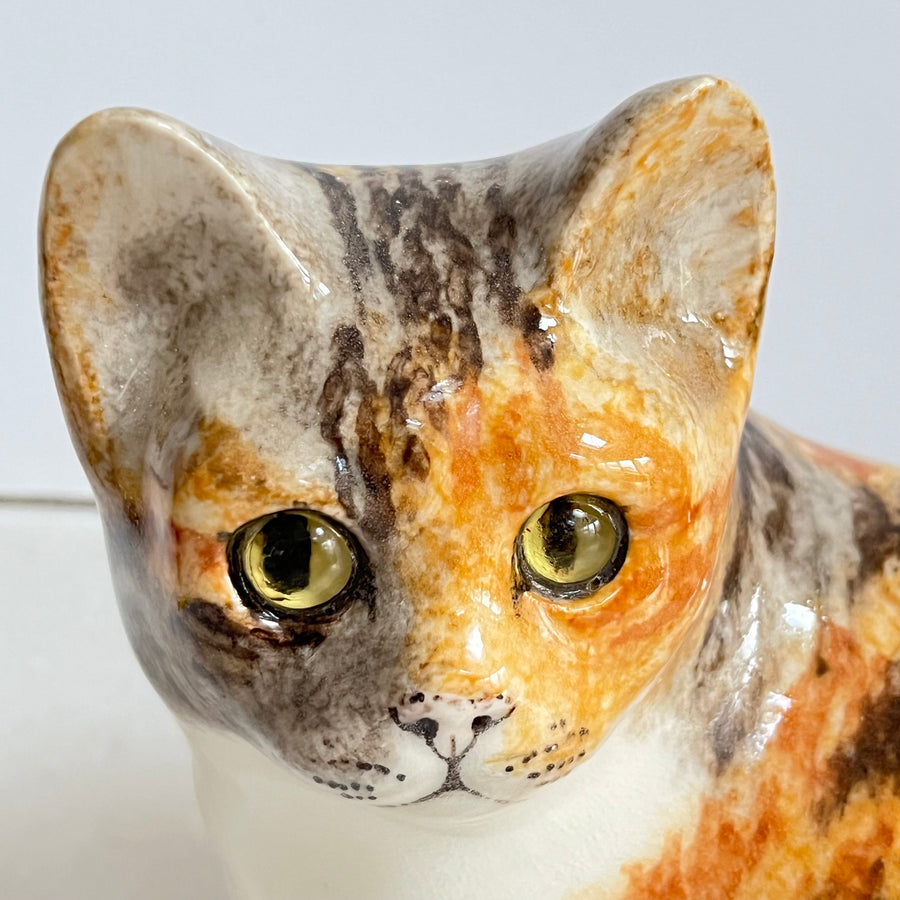 Winstanley Tortie Cat Sitting - Size 4