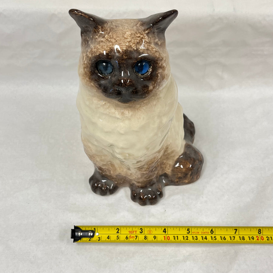 Winstanley Birman / Ragdoll Cat - Size 4