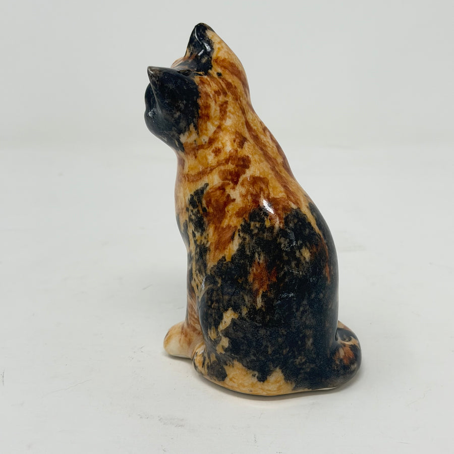 Winstanley Stunning Tortoiseshell Cat - Size 1