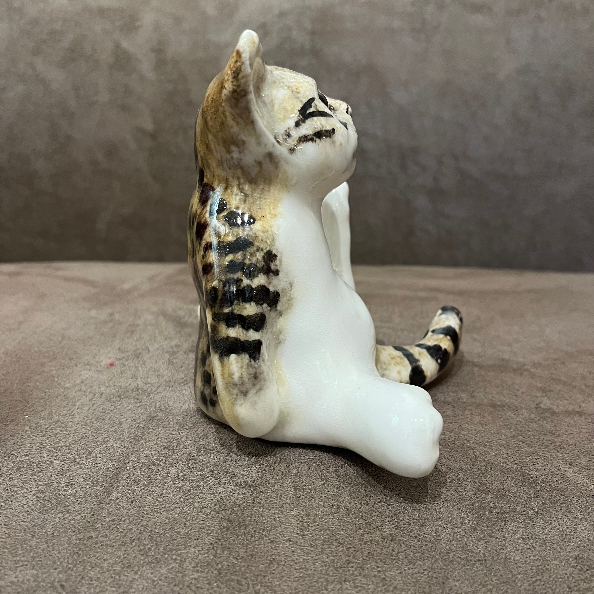 Winstanley Tabby & White Size 2
