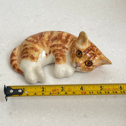 Winstanley Curled Ginger Kitten - Size 1