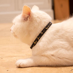 Moon & Stars Safety Cat Collar