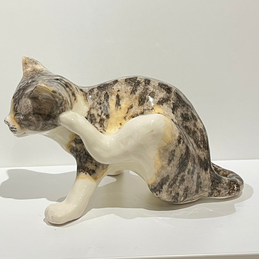 Tabby & White Scratching Winstanley Cat - Size 5
