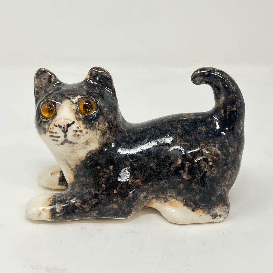 Winstanley Dark Brindle Cat - Size 1