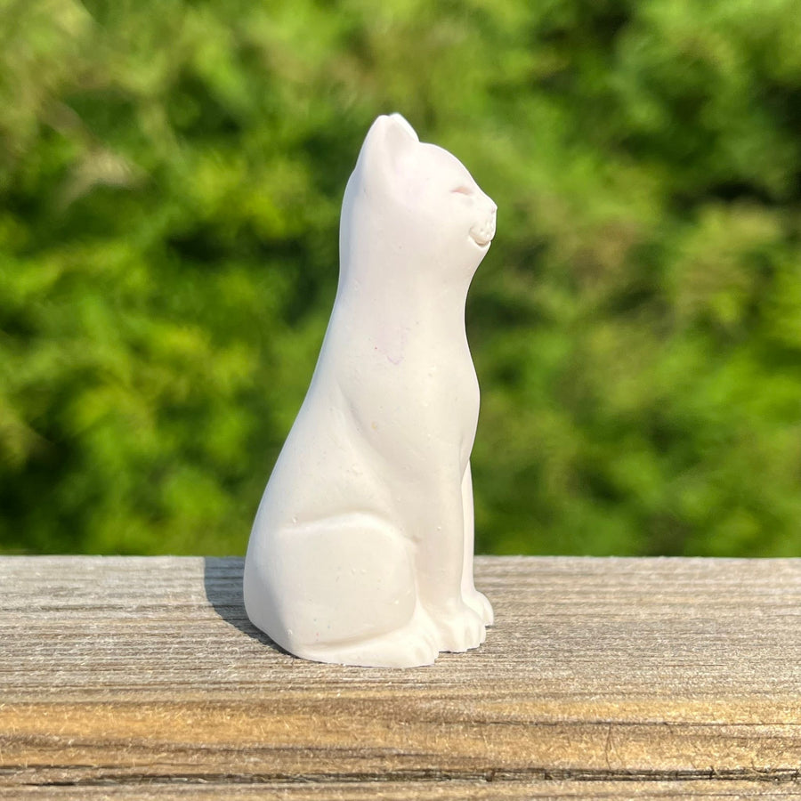 Natural Original Lucky Kitten