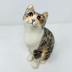 Winstanley Devoted Calico Cat - Size 3
