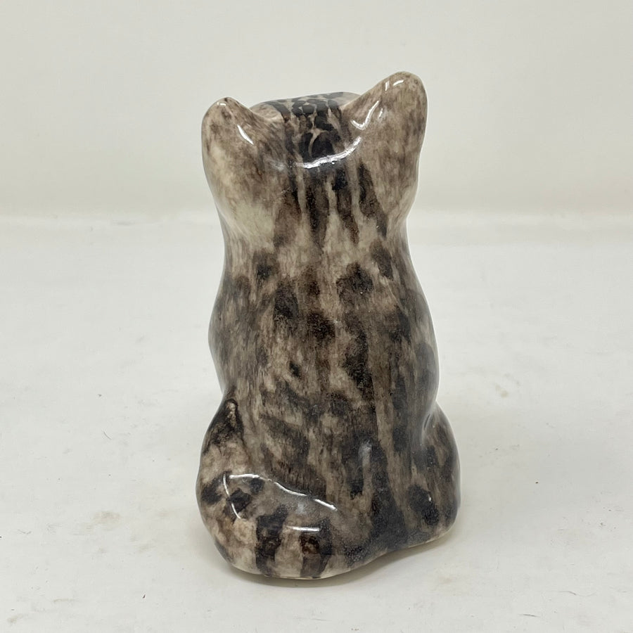 Winstanley Grey and White Cat Looking Up - Size 1