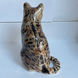 Winstanley Tabby Cat  - Size 3