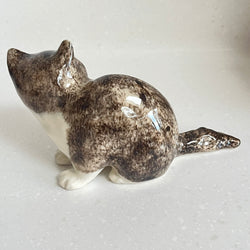 Winstanley Grey Cat with Green Eyes - Size 2