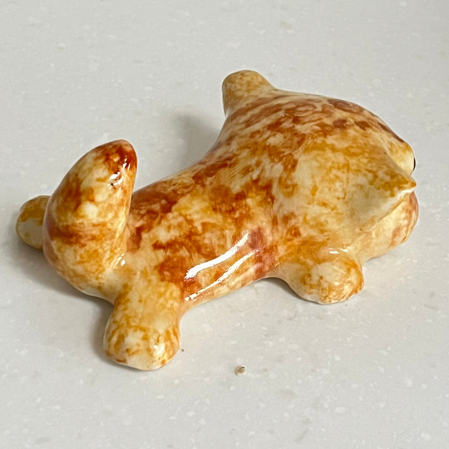 Winstanley Exhausted Ginger Kitten - Size 1