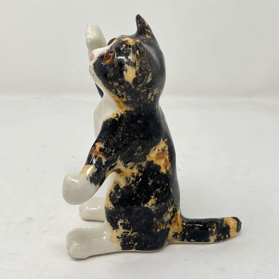 Winstanley Tortoiseshell Cat Paw Raised - Size 1