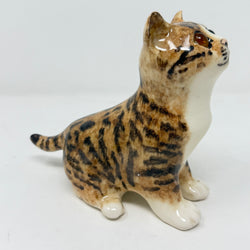 Winstanley Tabby & White Cat Looking Up Size 2