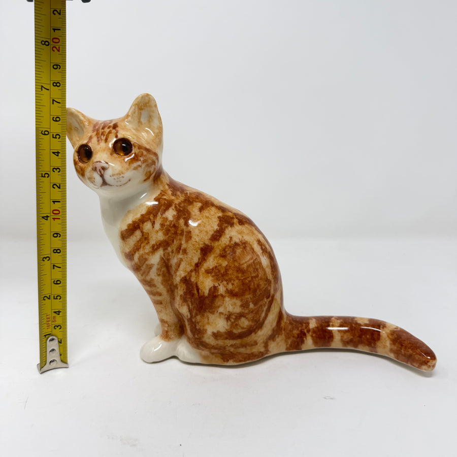 Winstanley Ginger & White Sitting Up Size 2