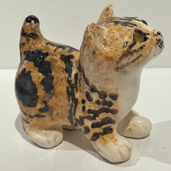 Tortie / Tabby Winstanley Cat - Size 1