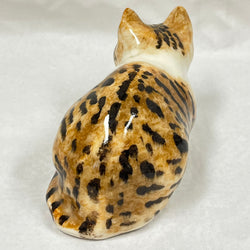 Winstanley Tortie & White Cat Crouching - Size 2