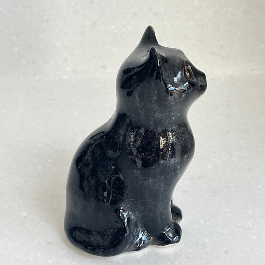 Winstanley Black Kitten Sitting - Size 1
