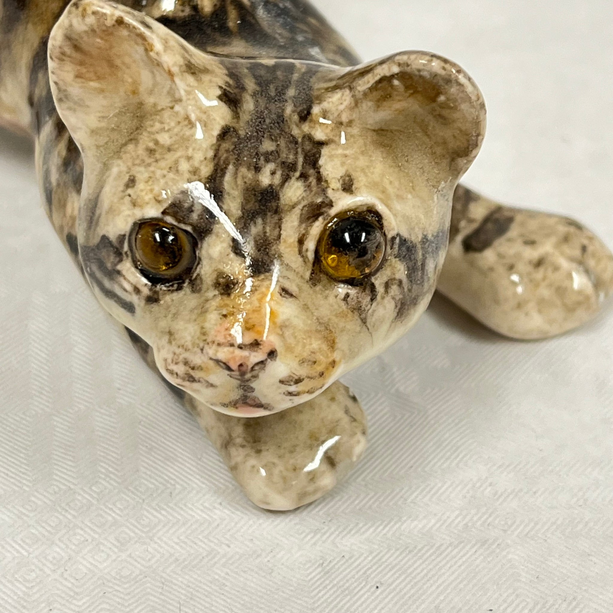 Winstanley Playful Tabby Kitten - Size 1
