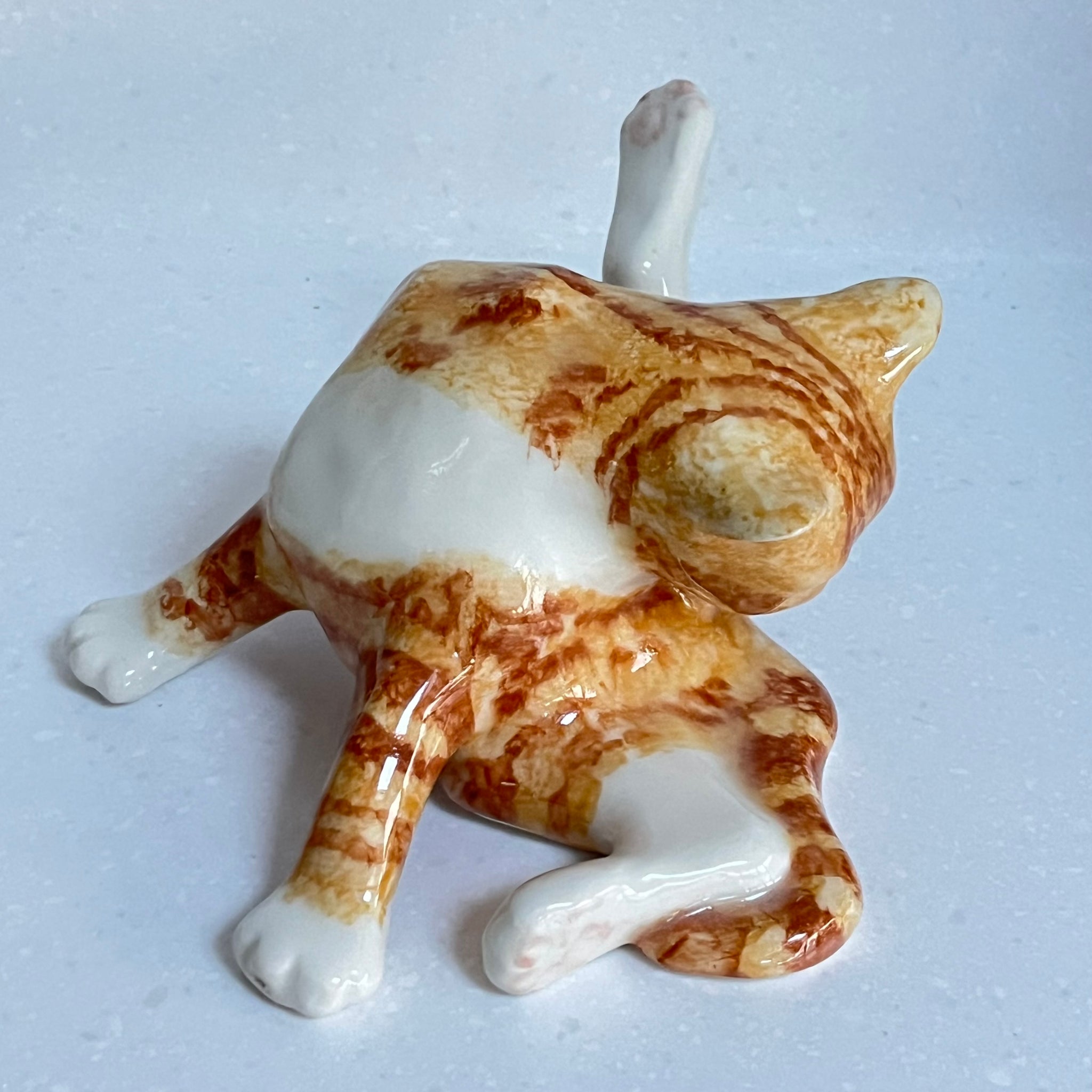 Winstanley Ginger Cat Washing  - Size 3