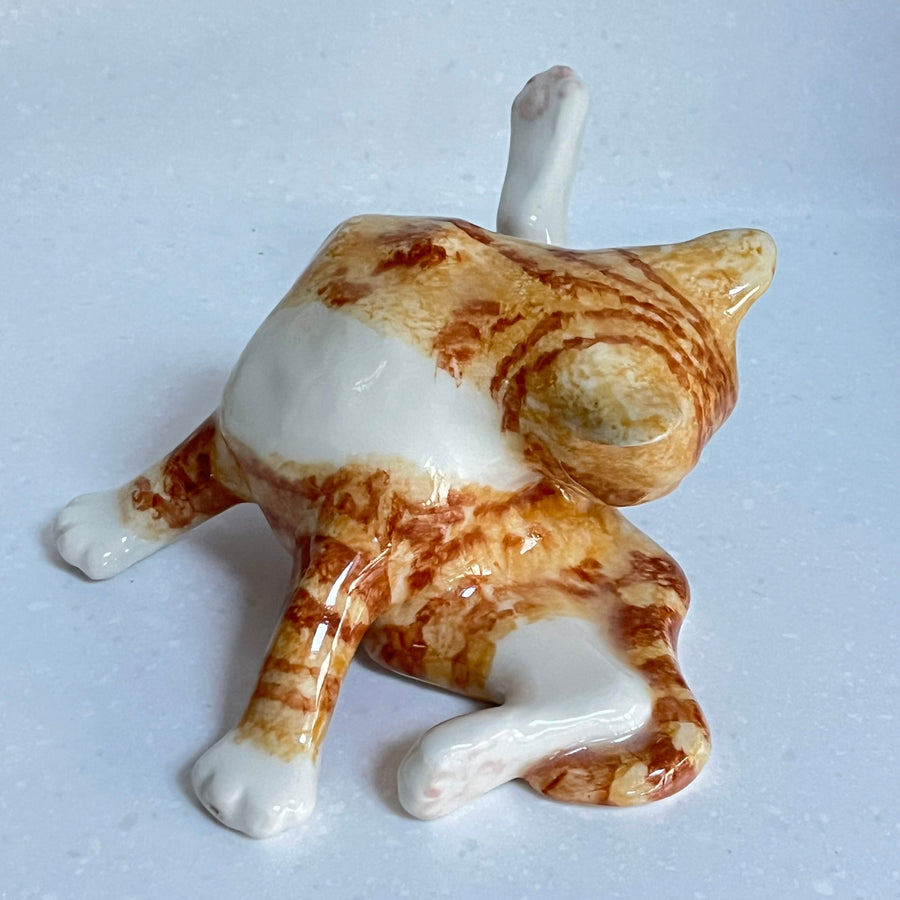 Winstanley Ginger Cat Washing  - Size 3