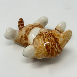 Winstanley Ginger & White Playful on Back Cat - Size 1