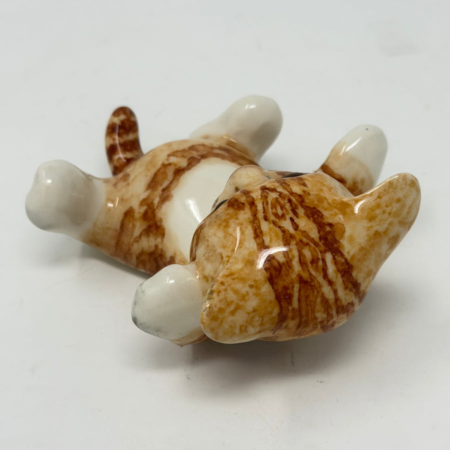 Winstanley Ginger & White Playful on Back Cat - Size 1