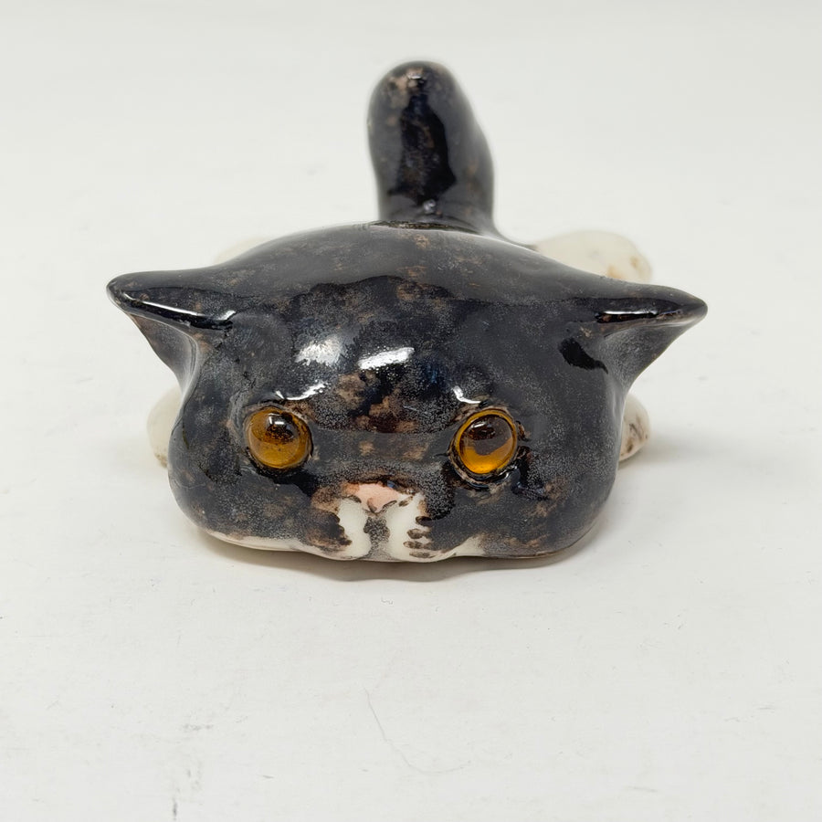 Winstanley Black & White Flat Cat - Size 1