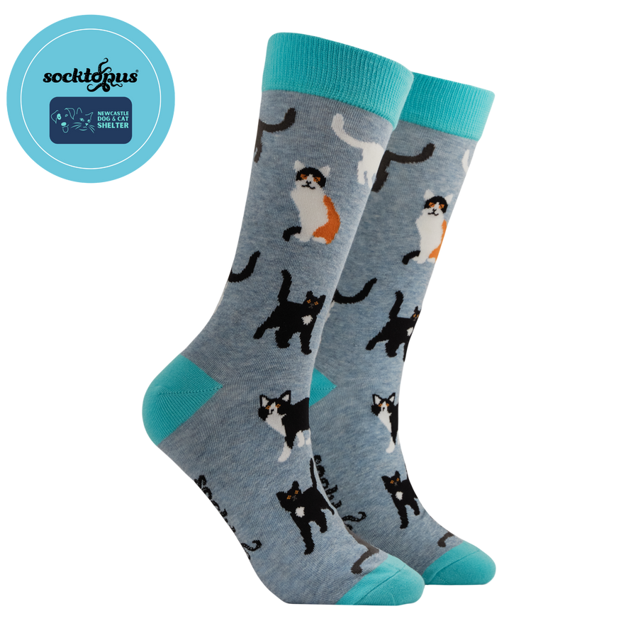 Newcastle Dog & Cat Shelter Socks UK 9-12