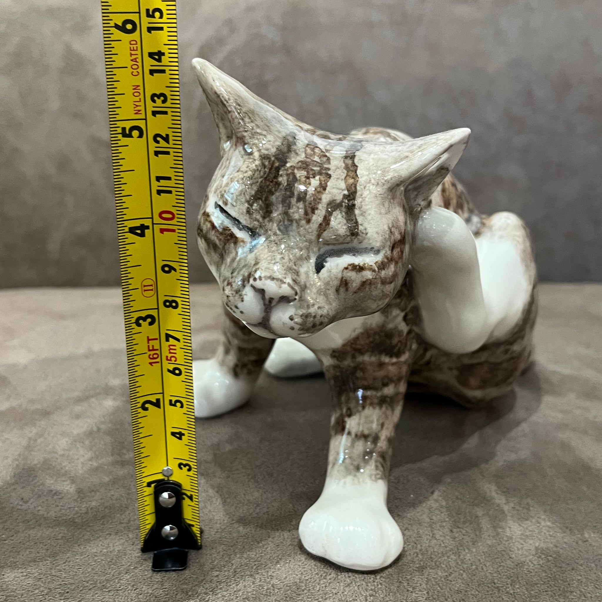 Winstanley Tabby Scratching - Size 3
