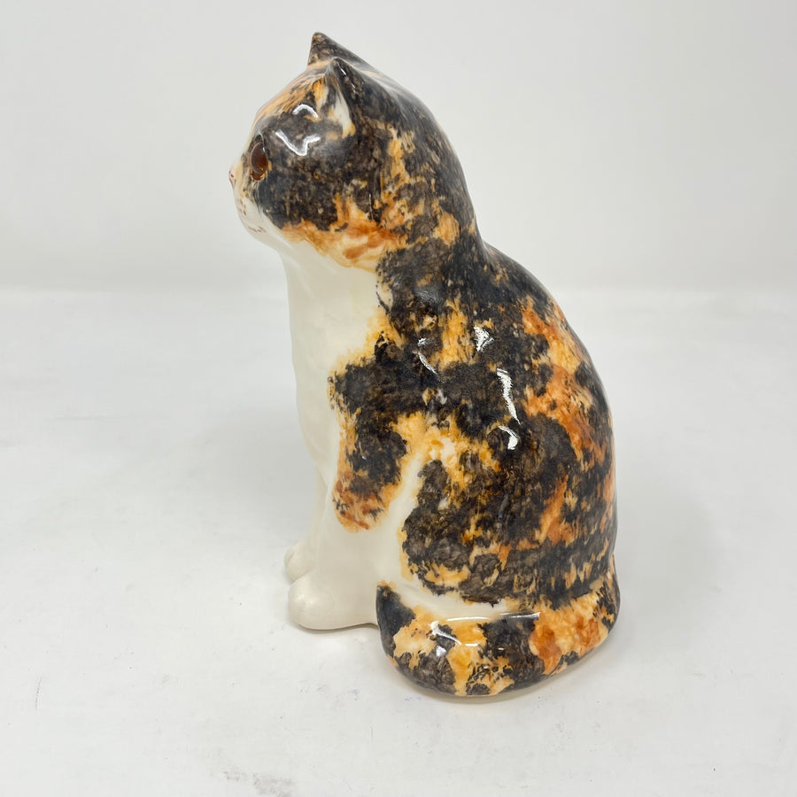 Winstanley Tortie & White - Size 1
