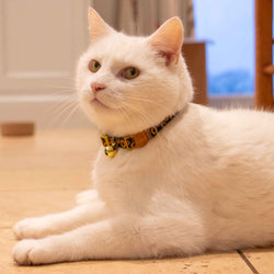 Sunflower Design Safety Cat Collar