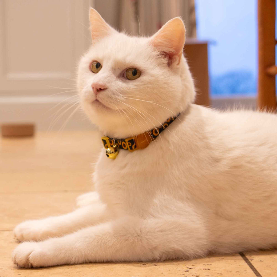 Sunflower Design Safety Cat Collar